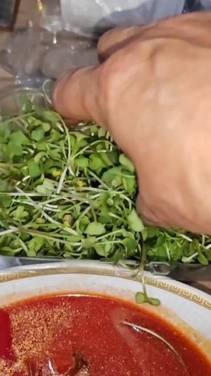 Мой и Снежка ужин