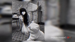⚜️цыганская песня 2026⚜️
приятного прослушивания 🫂❤️