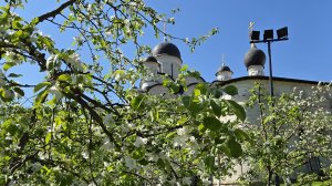 Серпухов. Введенский Владычный монастырь.Торжества. Неупиваемая чаша.