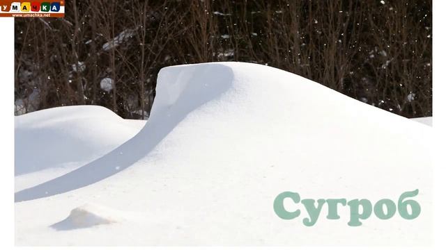 191. Логопедическое видео - Развивающее видео. Логопедия. Буква C. Часть 1