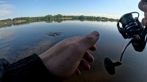 Спиннинг на Волге.День Леща.