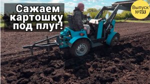 Сажаем картошку под плуг с помощью минитрактора. Жизнь и будни в Омской деревне.