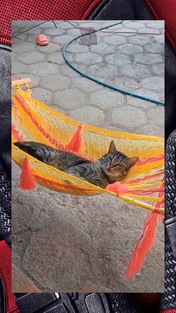 Потехе время а работе час 😼🫶😎
