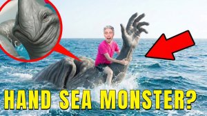 СРОЧНО! я кинул в ванну ВСЕ БОМБОЧКИ HAND SEA MONSTER в 3:00!!!