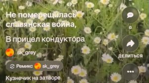 «В прицел кондуктора степи» кузнечик на затворе
