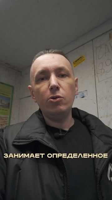 Оскар за лучший обман смотреть онлайн