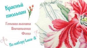 Красный тюльпан - готовая вышивка, впечатления, слайдшоу