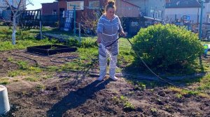 Высаживаю Баклажаны на Улицу / Немного Воспоминаний /Начались Огородные Работы /