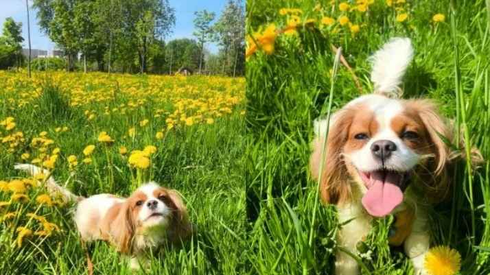 Радость мая 💖