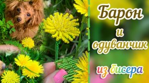 Одуванчик из бисера и Барон / Цветы из бисера / Игольчатое и объёмное бисероплетение / Творчество /