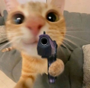 я