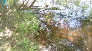 19.05.2026. Июльская жара в мае! Сажаем на косе «живую изгородь»! Подтягиваемся на спор!