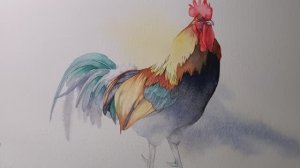 Техники акварели. Смешивание цветов на примере рисунке петуха