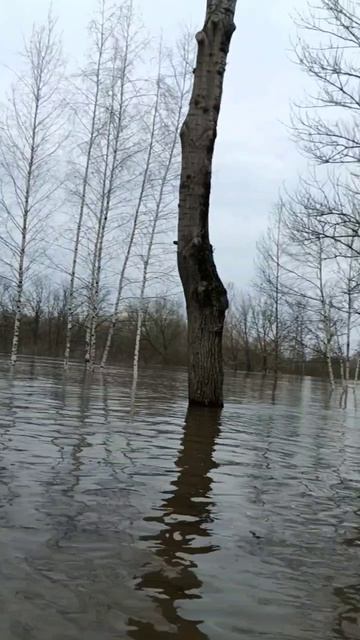 пл разливу смотреть онлайн
