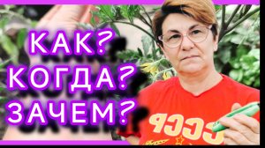 Какая я жадная и ленивая😜Пасынки на томатах.