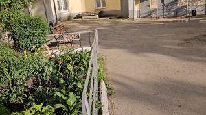 прививка💉понервничала🫣500 руб ни за что