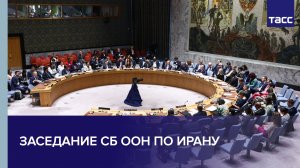 Заседание СБ ООН по Ирану