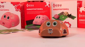 Программирование Киберпитомца. Работа со встроенными модулями