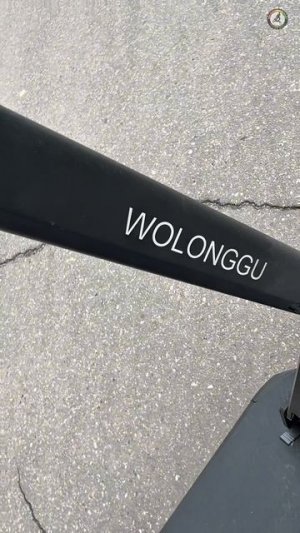 Wolong