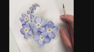 Мастер-класс по рисованию незабудки акварелью. Цветовая палитра для начинающих