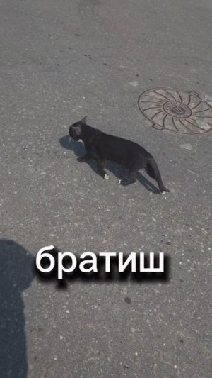 #Грейпфрут 🍊

В видео трэк 
1. Вайт Блэки - ну привет 🙋🙅
#Альбом : Сам ты Наташа ч.1 
#Скоро ...

#В