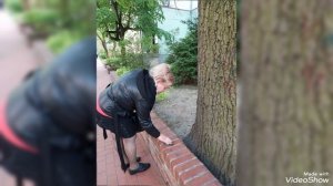 Майский вечер на улицах, сохранивших архитектру Кёнигсберга 16/05/2026