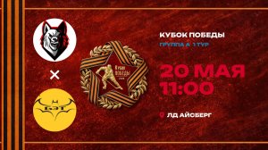 Непряхинские Волки - БетЭлТранс / 20.05.2026