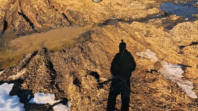 Прогулка на свежем воздухе