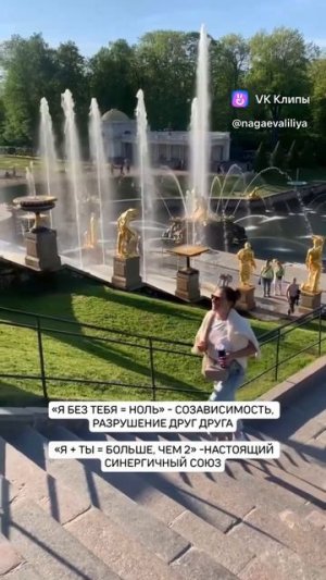 Отношения -живой мир