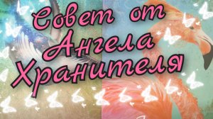 🙏Совет от Ангела Хранителя 👼