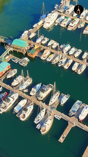 Полет над Deer Harbor на DJI Avata FPV 🚁⚓