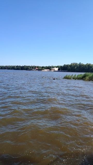 Петергоф. Вид с пристани!