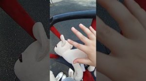 РУТИНА с собаками 🐶🐶🐶!!!!!