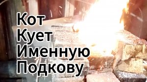 Кот Кует Именную подкову