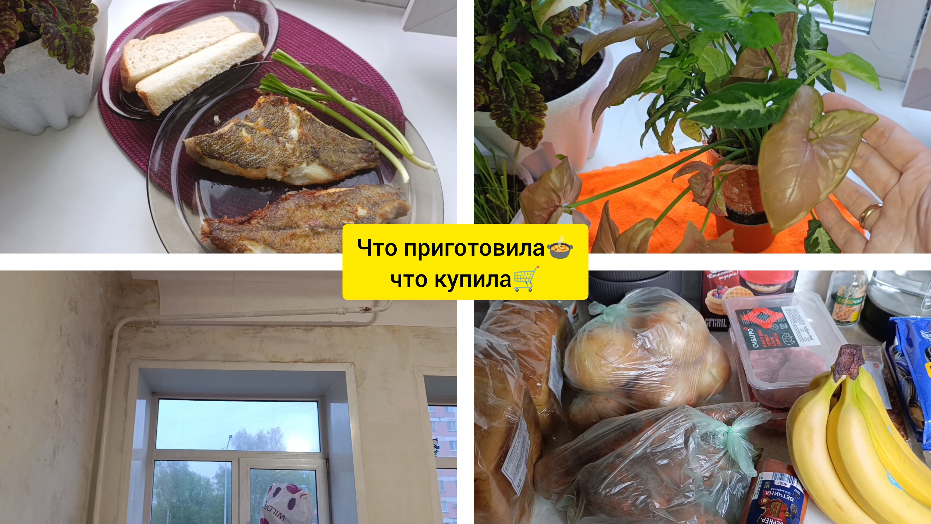 что купила 🛒/ что приготовила 🍲