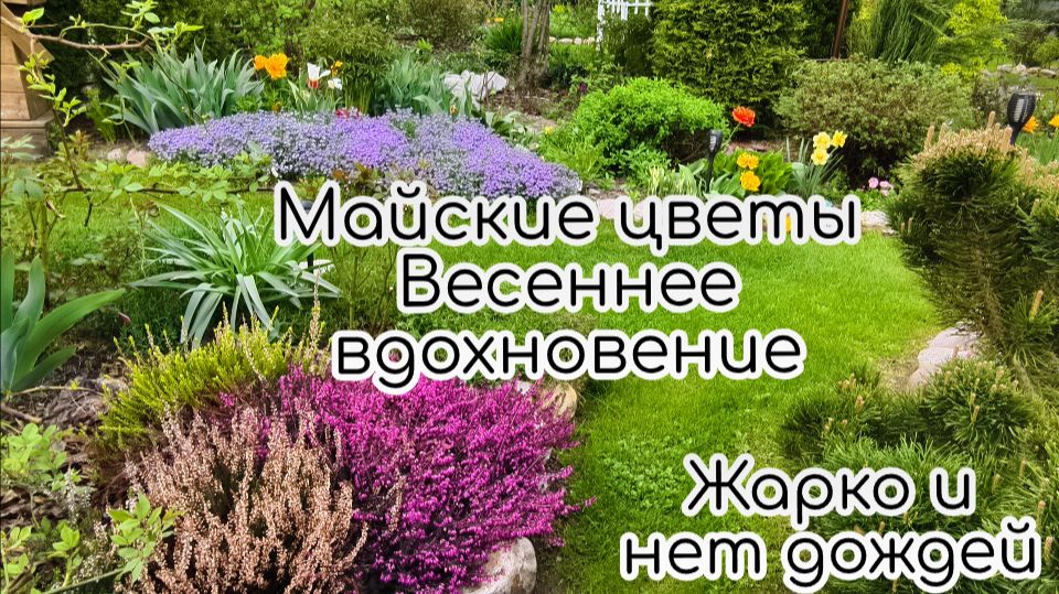 Майские цветы. Весеннее вдохновение. Жарко и нет дождей смотреть онлайн