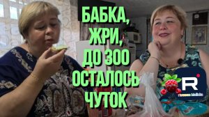 Ольга Уралочка live _Бабка, жри! До 300 осталось чуток _Обзор _Уралочка обзоры