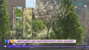 «Цветущий сад» у выставочного зала «Манеж»