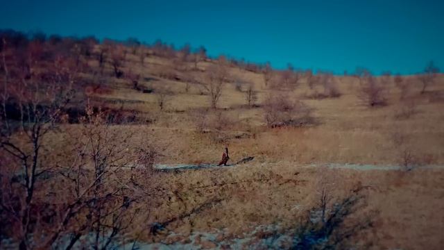 Митя Фомин — Удивительная — Премьера клипа