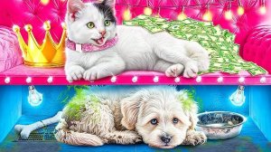Богатая кошка vs бедная собака! Строим секретные домики для животных!