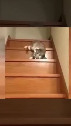 Хороший фильм на вечер !