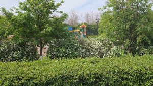 Прогулка от сквера  ДКиС Газовик до сквера ПетраI Видео Виктор Поживин  Оренбург 19.05.26.