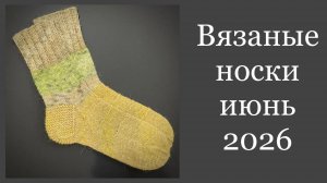 Носочная коллекция «12» с Катериной Шурм. Июнь