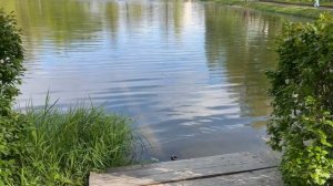 САНКТ ПЕТЕРБУРГ. ПЕТЕРГОФ