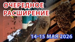 ОЧЕРЕДНОЕ РАСШИРЕНИЕ ПЧЕЛОСЕМЕЙ