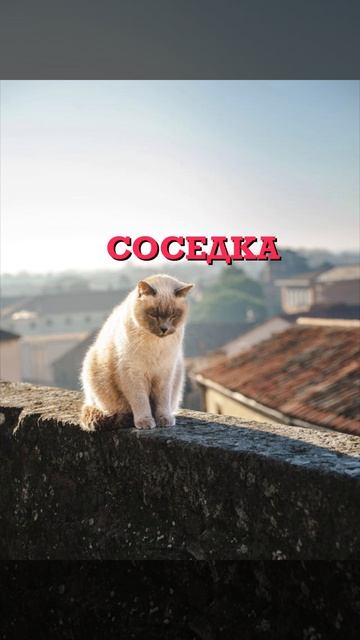 Как отвадить надоедливую соседку(соседа)