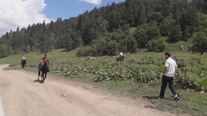 Волшебный Архыз. Едем к Софийским водопадам, кто-то на машине, кто-то на лошади.