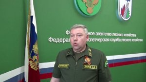 О причинах пожаров в ДФО, прогнозе пожарной опасности по условиям погоды
