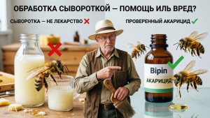 Обработка пчёл сывороткой: работает или нет? Разбор Кашковского 🥛🐝