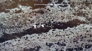 В регионе Куликоро продолжается уничтожение выявленных полевых лагерей террористов.